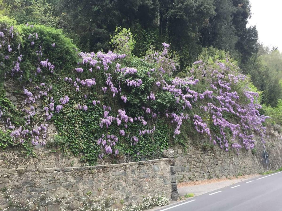 Appartamento La Piccola Oasi Toscana Bagni di Lucca Esterno foto